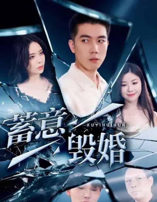 蓄意毁婚 蓄意毁婚