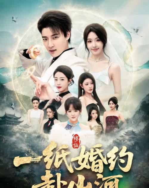 一纸婚约赴山河（80集全）张翊轩＆罗奕-海之城短剧项目