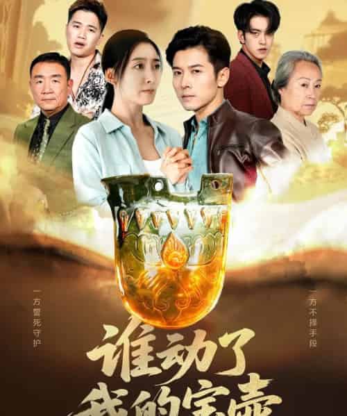 谁动了我的宝壶（31集全）赖艺＆赵琳苑-海之城短剧项目