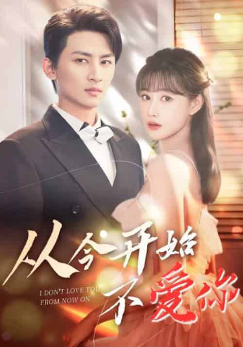 从今开始不爱你（80集全）陈天泽＆苏雅 - 海之城短剧
