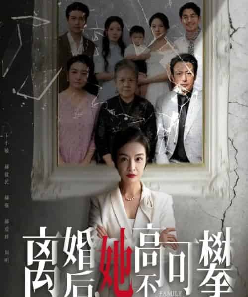 离婚后她高不可攀＆至亲之人伤我最深（67集全）岳子龙＆刘超-海之城短剧项目