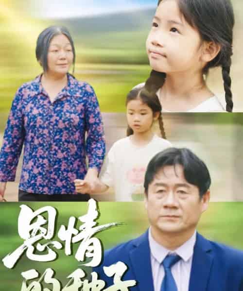 恩情的种子（29集）-海之城短剧项目