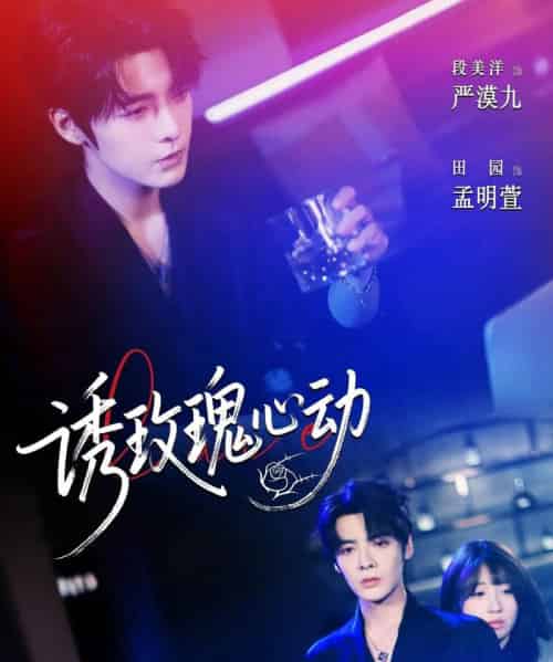 诱玫瑰心动（69集）段美洋＆田园-海之城短剧项目