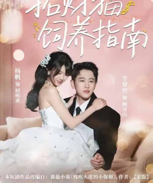 招财猫饲养指南（92集全）李梦然＆杨帆-海之城短剧项目