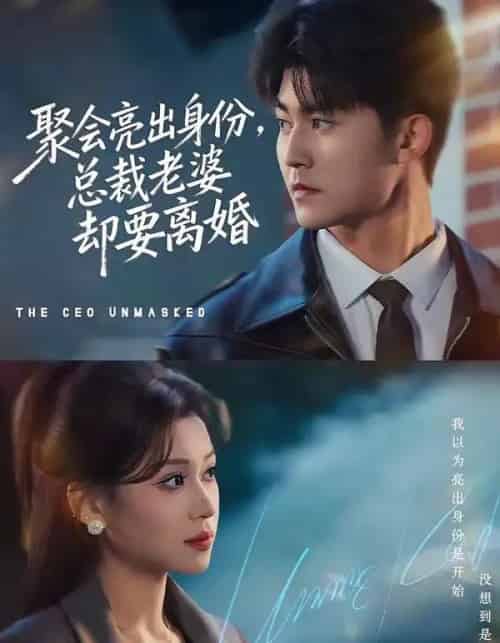 聚会亮出身份，总裁老婆却要离婚（81集全）梅子健＆任柏玉-海之城短剧项目