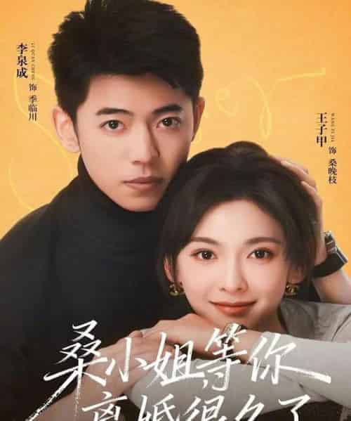 桑小姐，等你离婚很久了（70集全）李泉成＆王子甲-海之城短剧项目