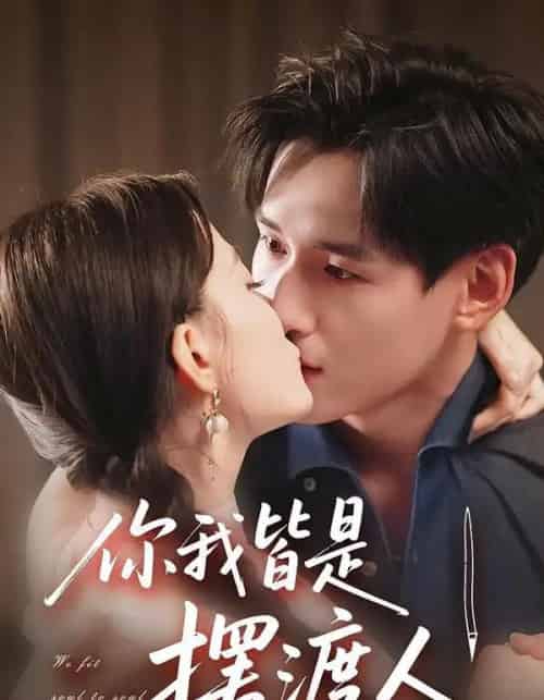 你我皆是摆渡人（82集全）姚筱筱＆杨晨-海之城短剧项目