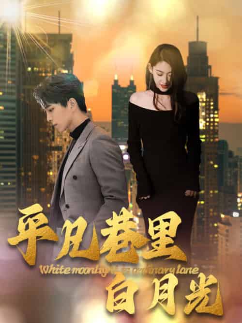 平凡巷里白月光（33集全） - 海之城短剧