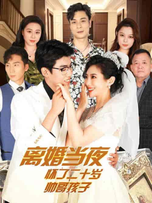 离婚当夜怀了二十岁帅哥（75集全） - 海之城短剧