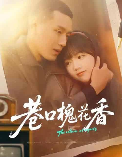 巷口槐花香（65集全）王慧龙＆烨喵-海之城短剧项目