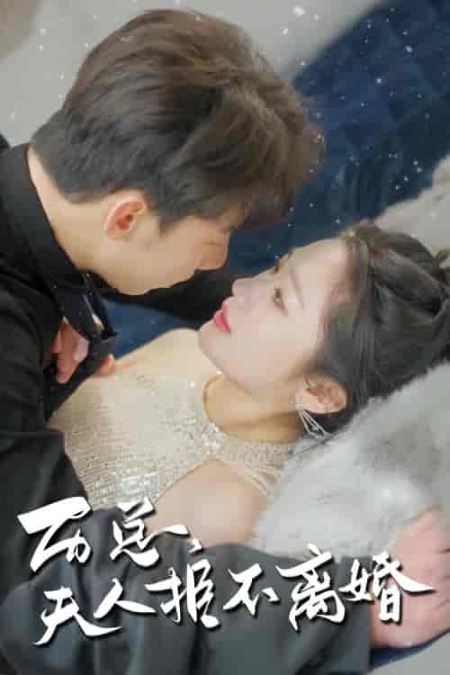 历总，夫人拒不离婚（61集） - 海之城短剧