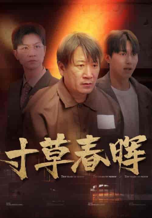 寸草春晖（31集全） - 海之城短剧