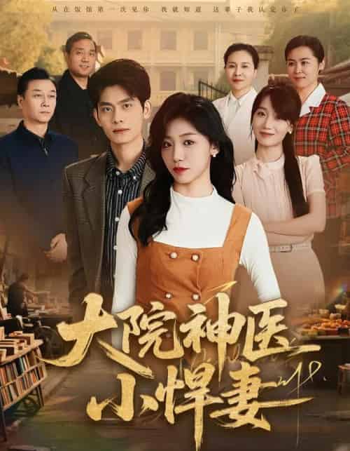 大院神医小悍妻（80集全）李喆＆朱钰-海之城短剧项目