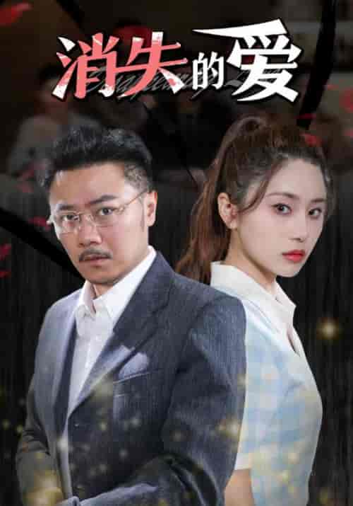 消失的爱（101集） - 海之城短剧