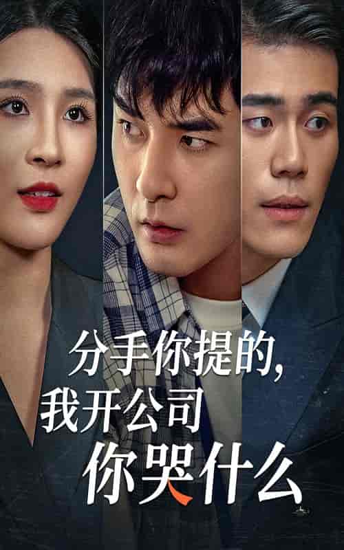 分手你提的，我开公司你哭什么（61集全） - 海之城短剧