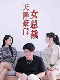 天降豪门女总裁（88集）张震 - 海之城短剧