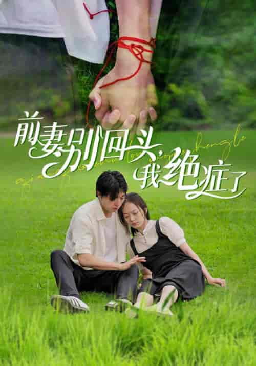 前妻别回头，我绝症了（81集全）林东＆苏媛 - 海之城短剧