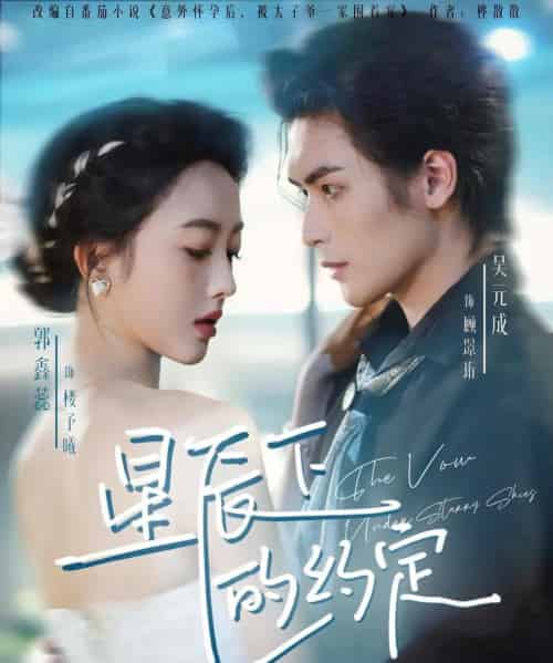 星辰下的约定（80集全）吴元成＆郭鑫蕊-海之城短剧项目