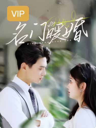 名门暖婚【小合集每集20分钟】 - 海之城短剧