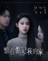 谁在惦记我的家（30集全）刘北＆王嘉嘉-海之城短剧项目