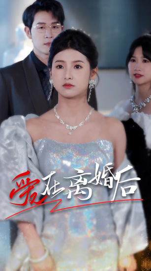 爱在离婚后（72集） - 海之城短剧