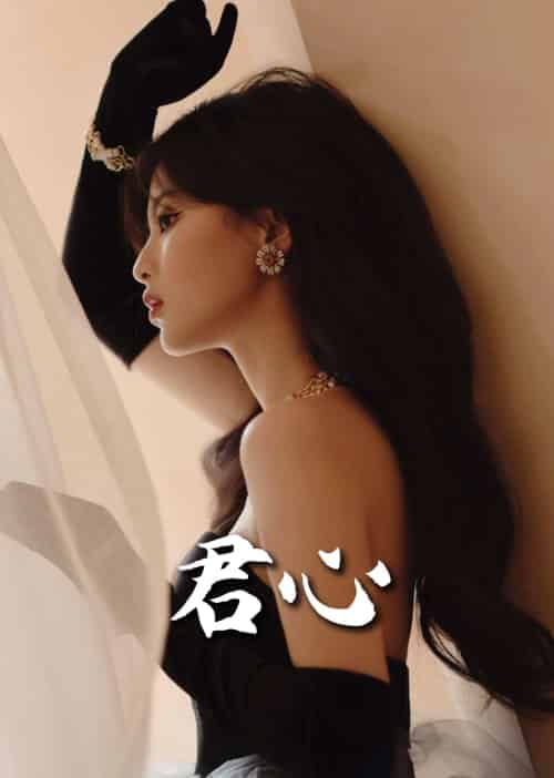 君心（72集全） - 海之城短剧
