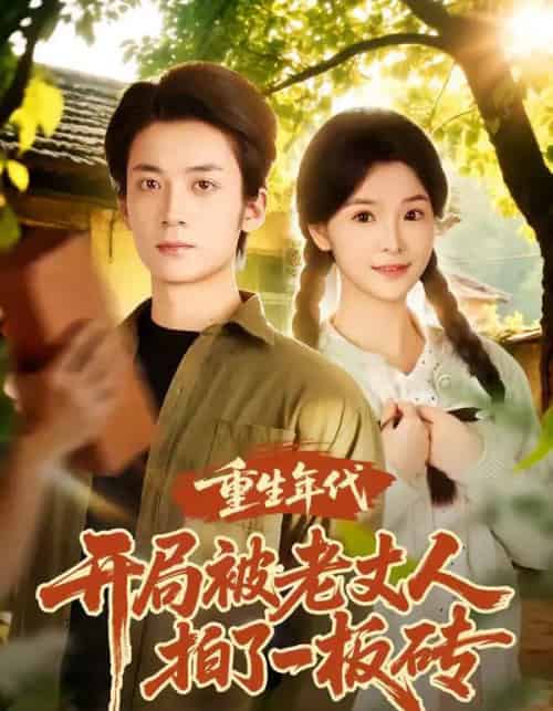 重生年代开局被老丈人拍了一板砖（82集全）陈含＆冯亦-海之城短剧项目