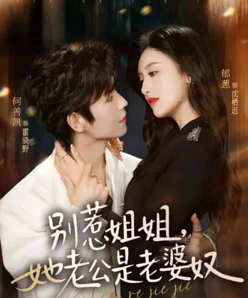 别惹姐姐，她老公是老婆奴（68集全）何善凯＆郁葱-海之城短剧项目