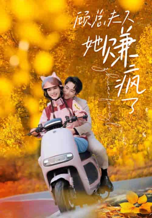 顾总夫人她赚疯了 顾总夫人她赚疯了