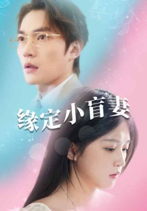 缘定小盲妻（62集全）白景明＆夏春和 - 海之城短剧