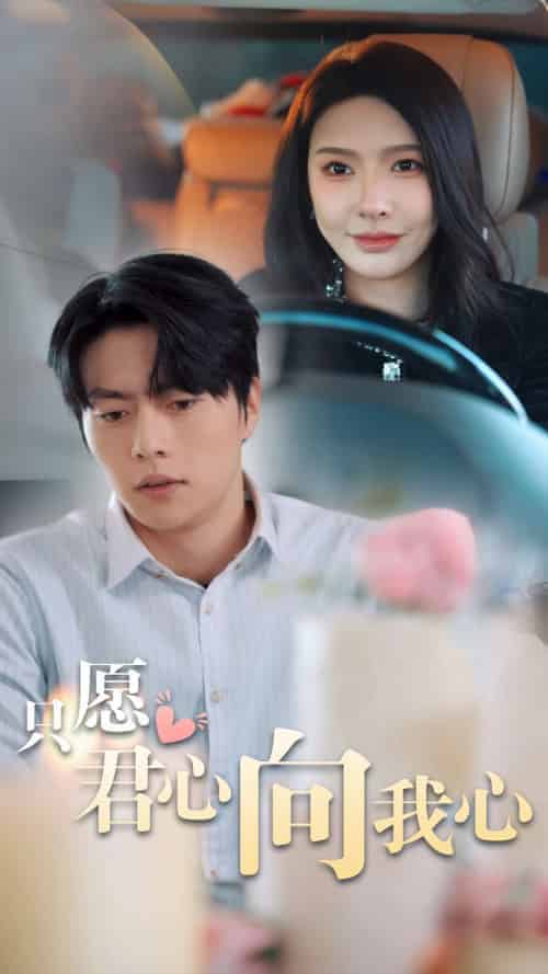 只愿君心向我心（31集全）张磊 - 海之城短剧