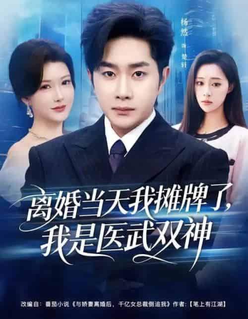 离婚当天我摊牌了，我是医武双神（80集全）杨然＆尹竹-海之城短剧项目
