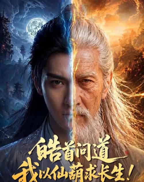 皓首问道，我以仙葫求长生！（67集全）AI-海之城短剧项目