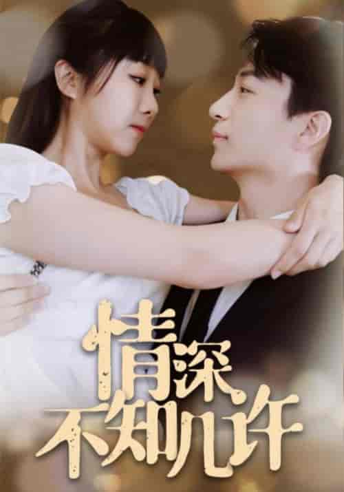 情深不知几许（96集全）秦东歌＆许言轻 - 海之城短剧