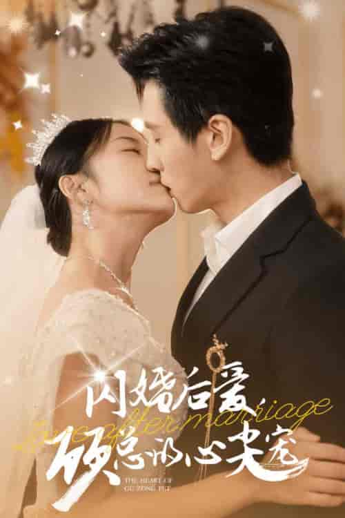 闪婚后爱，顾总的心尖宠（45集全）王寒阳 杨珞仟 - 海之城短剧