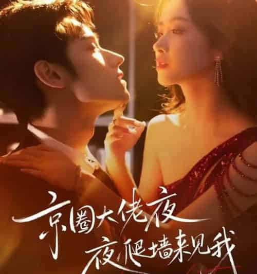 京圈大佬夜夜爬墙来见我＆吻上瘾，顾总他破防了（73集全）赵星卉＆袁凯凯-海之城短剧项目