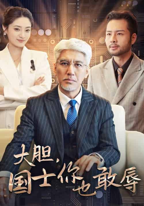 大胆，国士你也敢辱待改名（30集全）林振国＆萧晴川 - 海之城短剧