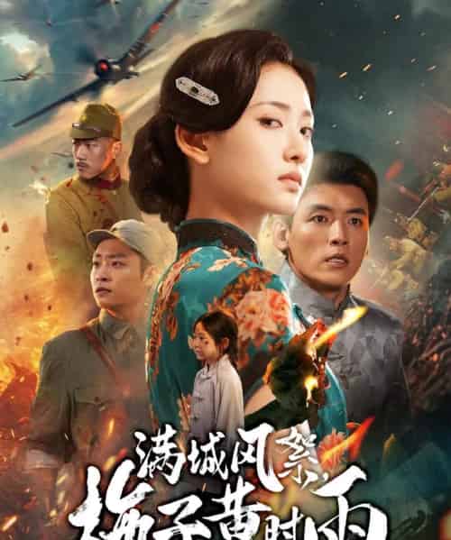 满城风絮梅子黄时雨（58集全）李源＆汪巧-海之城短剧项目