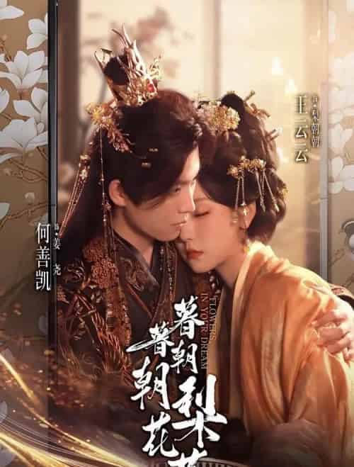 暮暮朝朝梨花落（99集全）何善凯＆王云云（彩彩云）-海之城短剧项目