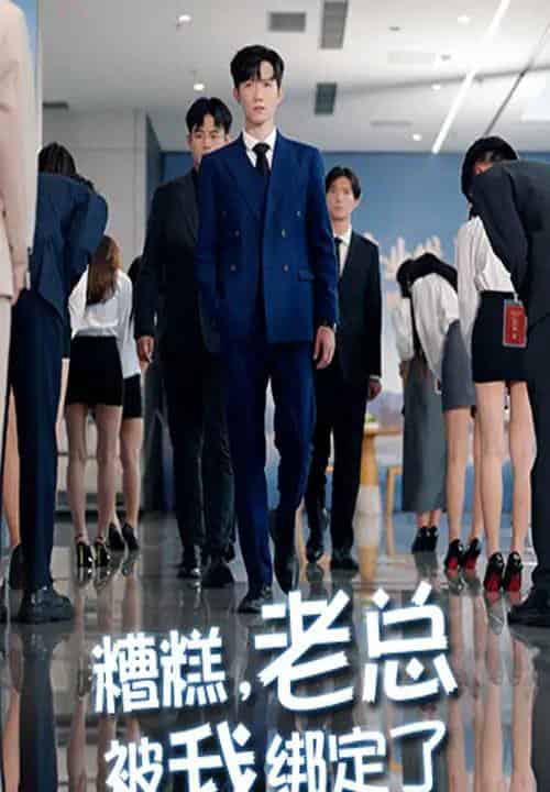 糟糕老总被我绑定了（63集全）李林轩＆吴帆-海之城短剧项目