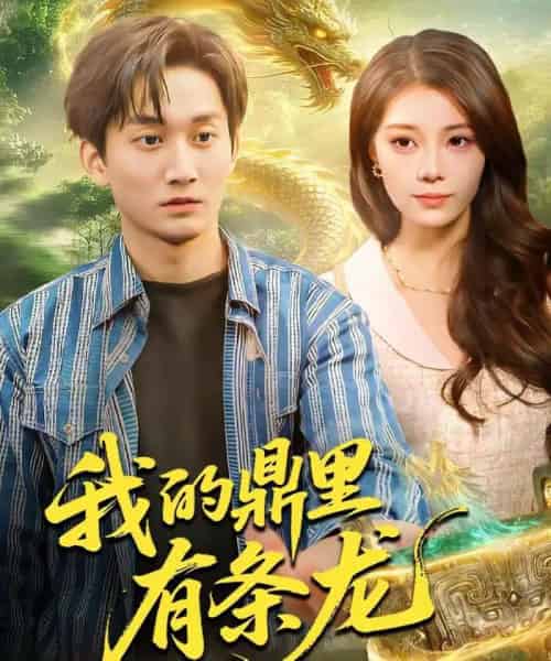我的鼎里有条龙（83集全）黄小黄＆李默-海之城短剧项目