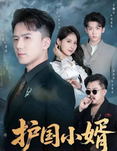 护国小婿（60集全）李佳轩＆赵志盟-海之城短剧项目