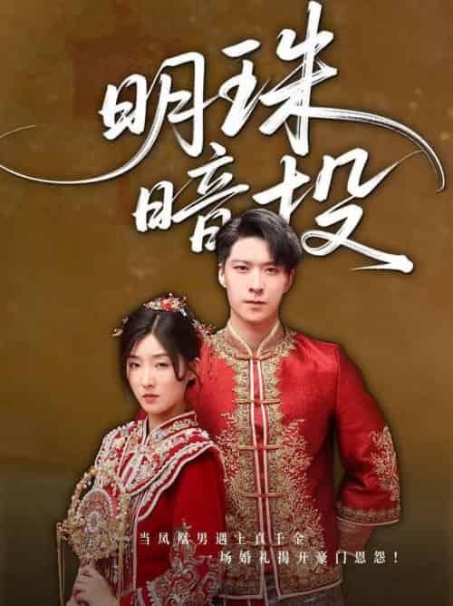 明珠暗投（60集全）牛静婕 - 海之城短剧