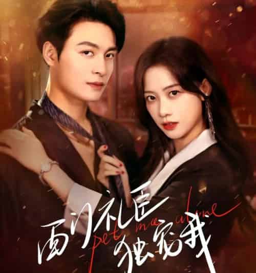 西门礼臣独宠我（80集全）刘叁肆＆康渝茜-海之城短剧项目