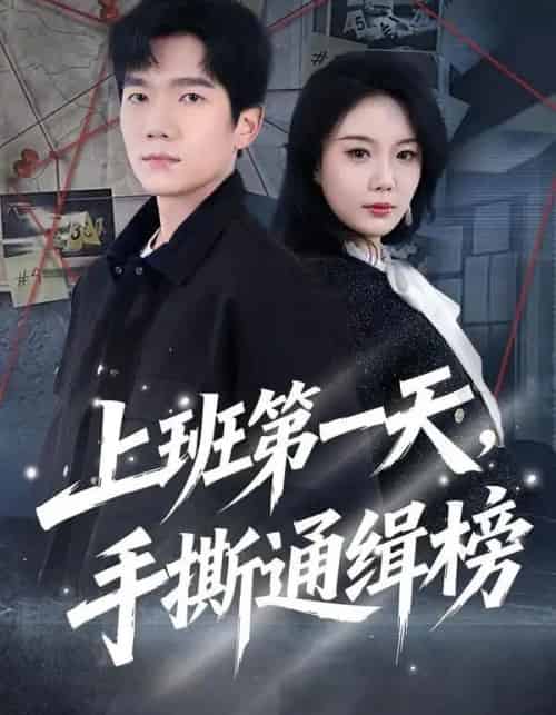 上班第一天，手撕通缉榜（79集全）文艺贞＆彭瑞风-海之城短剧项目