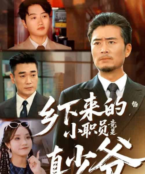 乡下来的小职员竟是真少爷（85集全）丁磊＆高晟-海之城短剧项目