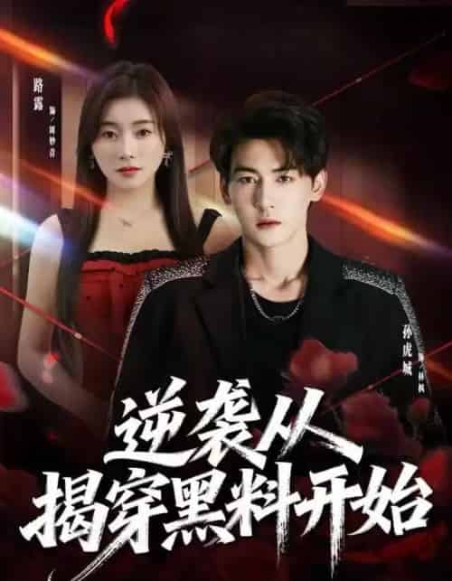 逆袭从揭穿黑料开始（80集全）孙虎城＆路露-海之城短剧项目