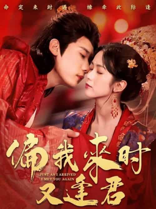 偏我来时又逢君（70集全）章凯＆项云 - 海之城短剧