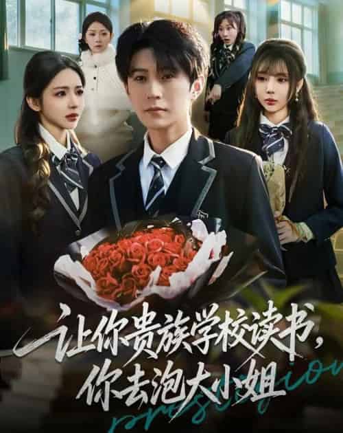 让你贵族学校读书，你去泡大小姐（71集全）月野兔＆李河源 - 海之城短剧