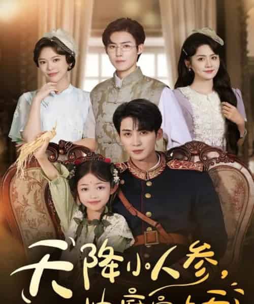 天降小人参，帅府宠上天（83集全）刘梓恒＆王子菡-海之城短剧项目